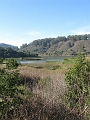 IMG_1742