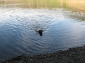 IMG_1767