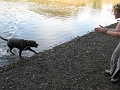 IMG_1768