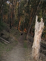 IMG_1775