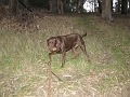 IMG_1780
