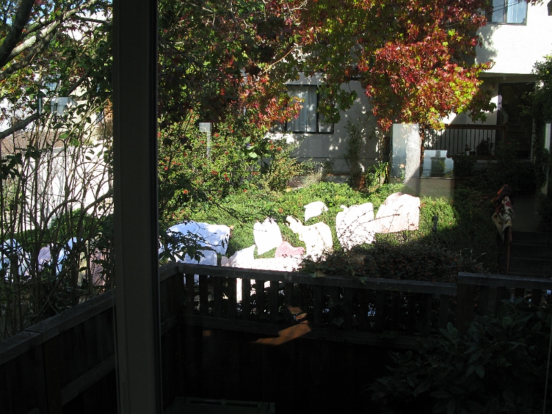 IMG_1821.JPG - That's a lot of towels and mats.