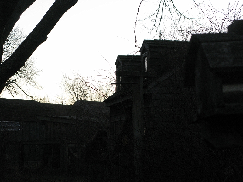 IMG_1881.JPG - Blair Witch what?