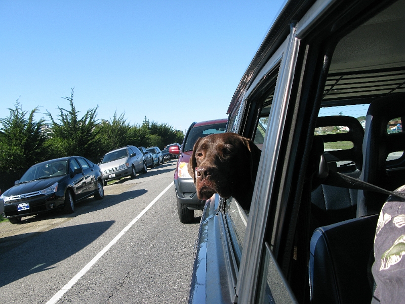IMG_1992.JPG - Object in mirror may be more neurotic than he appears.
