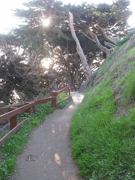 IMG_2025.JPG - Super secret beach access path.