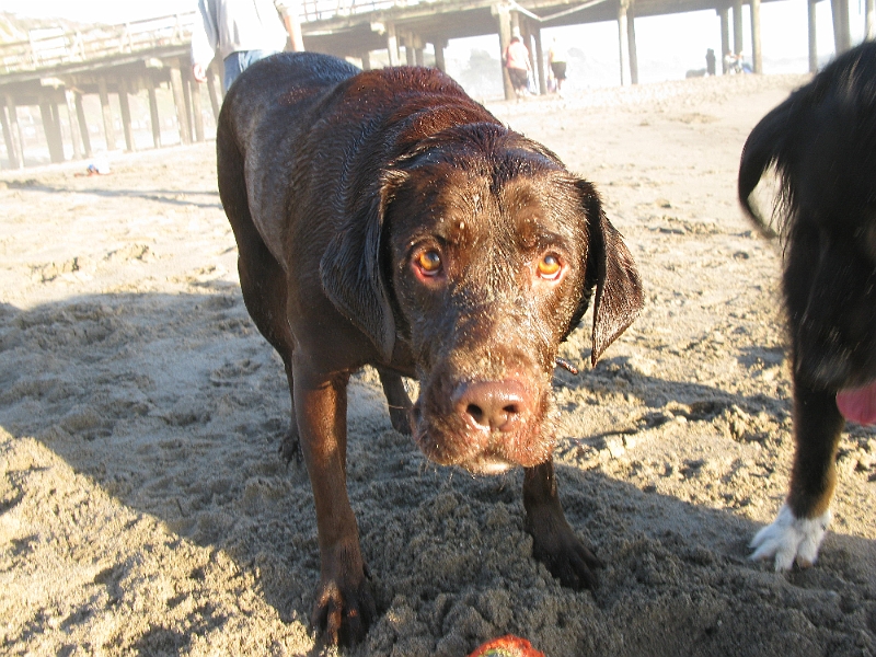 IMG_2026.JPG