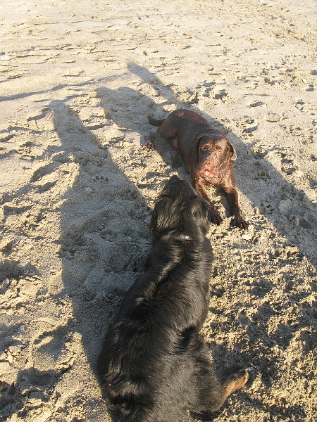 IMG_2032.JPG