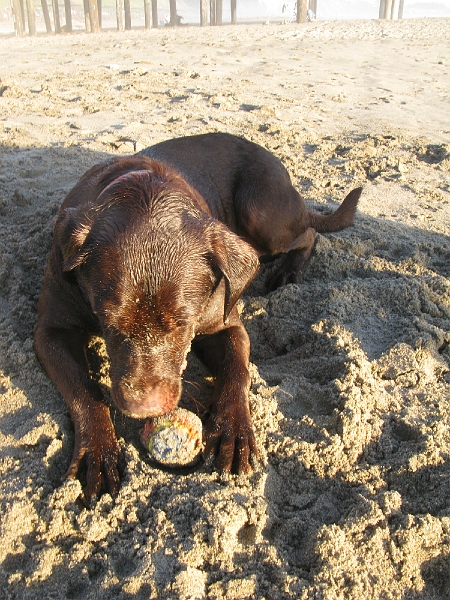IMG_2045.JPG