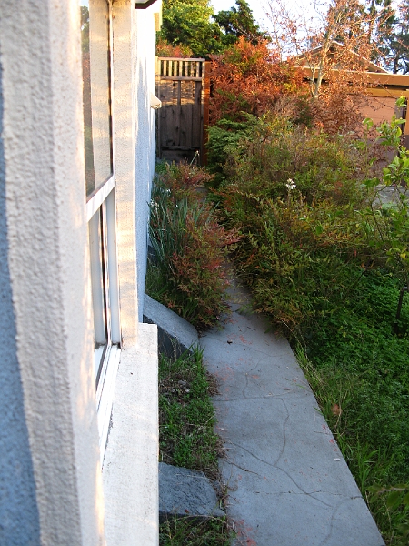 IMG_2081.JPG - The property line ends where the walkway ends. 3' from the SW wall of my house.