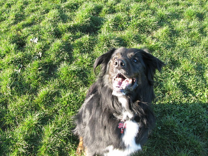 IMG_2091.JPG - Happy goof.
