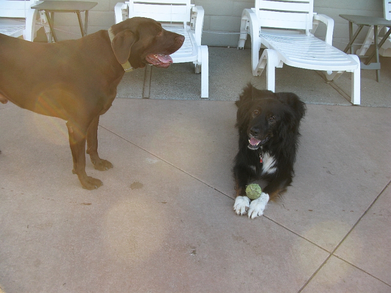 IMG_2094.JPG - A very low drama standoff.