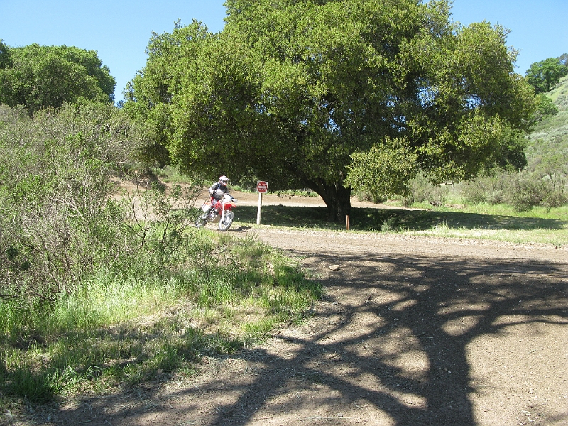 IMG_2446.JPG