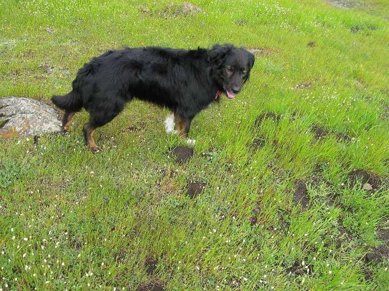 IMG_2497.JPG