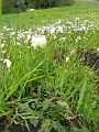 IMG_2495
