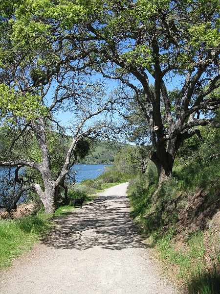 IMG_2544.JPG - East shore trail, heading north.