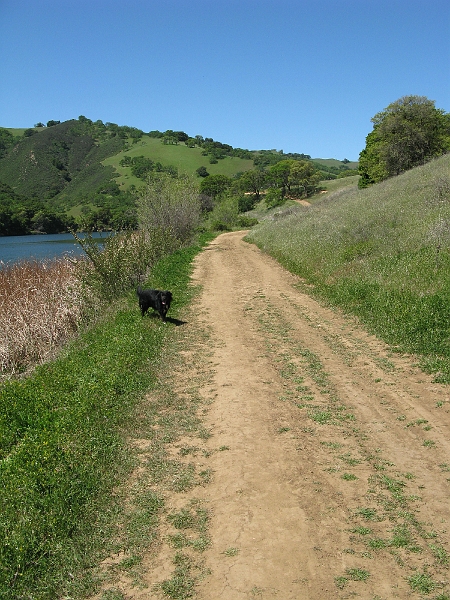 IMG_2559.JPG - Quite a nice day here in mid April. Soon the grass will be brown and dry and Livermore and this area will be mighty hot.