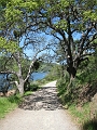 IMG_2544