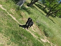 IMG_2552