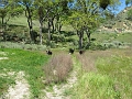 IMG_2577