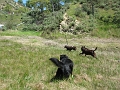 IMG_2578