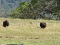 IMG_2620