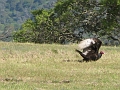 IMG_2621