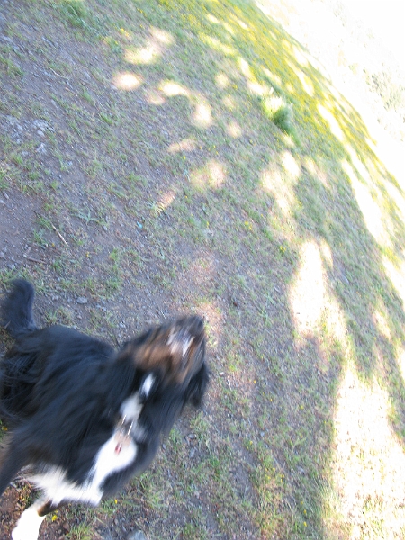 IMG_2669.JPG - Shutter speed too slow, yo.