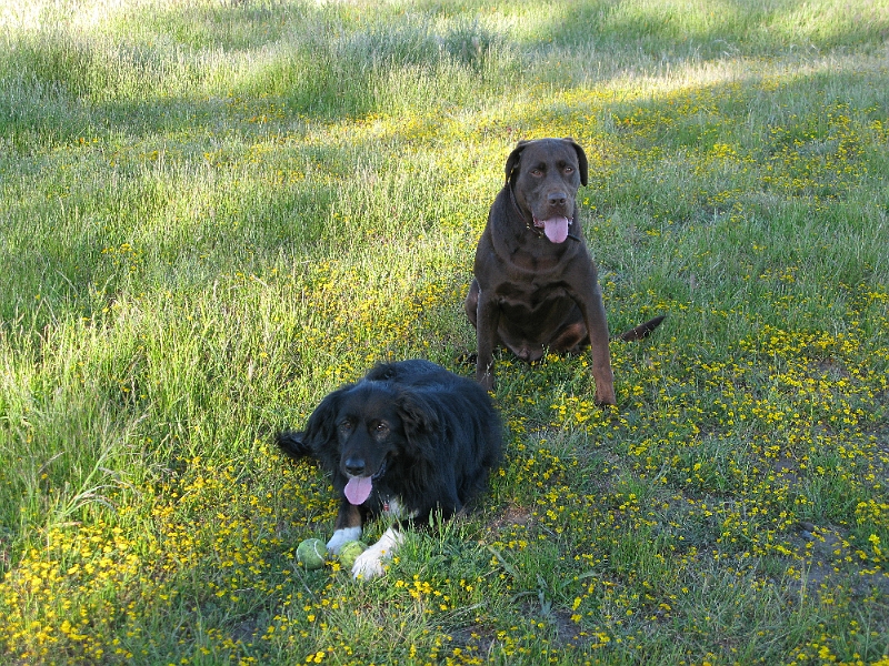 IMG_2683.JPG - Not sharing x 2.