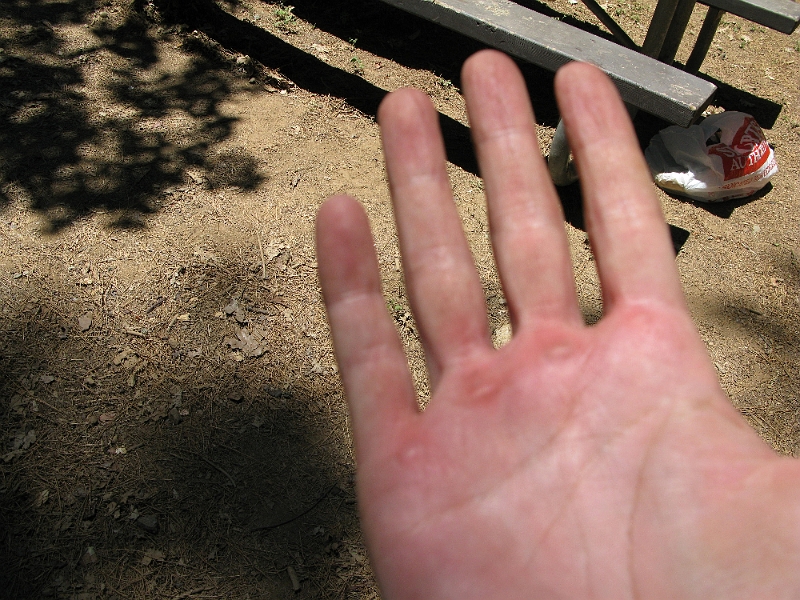 IMG_0059.JPG - A full set of throttle blisters already. It is 100+ degrees and the trails are tight and fairly technical.