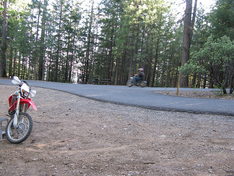 IMG_0068.JPG - The scourge of campgrounds everywhere.