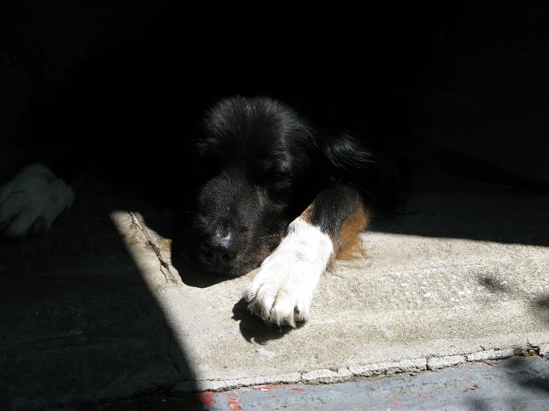 IMG_0105.JPG - Supervising again.