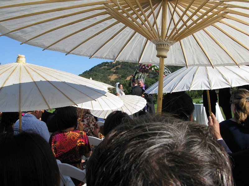 IMG_0199.JPG - "Umbrellas down!"