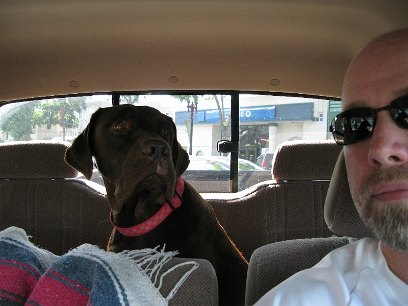 IMG_0219.JPG - Jack and I wait patiently in the car while a Peet's run is in progress.