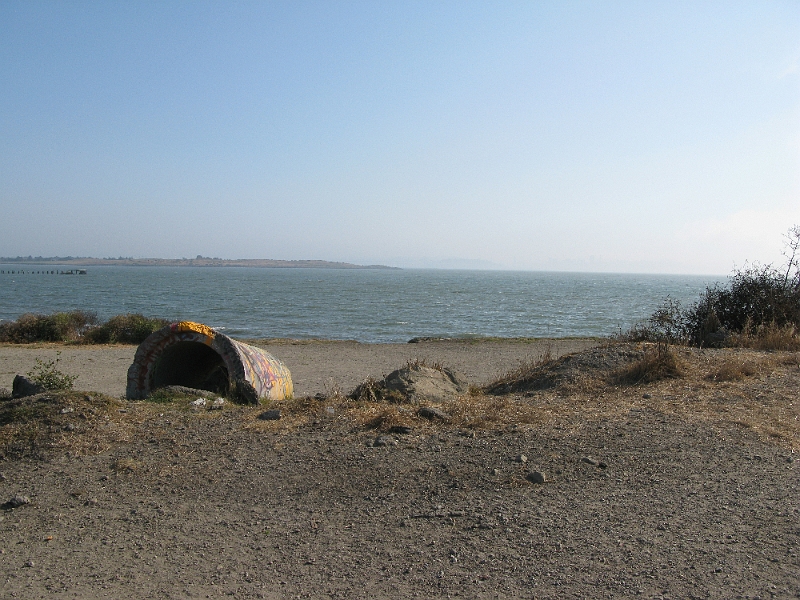 IMG_0223.JPG - SF skyline lurks behind the veil of haze.