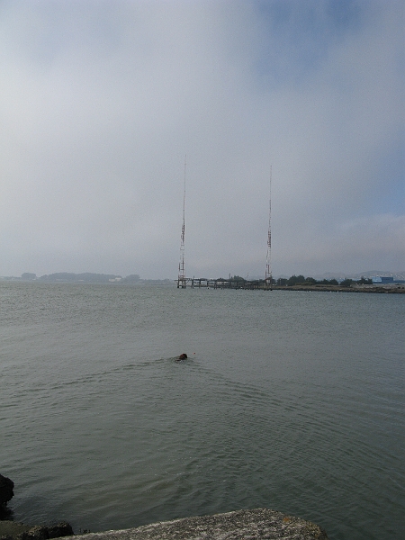 IMG_0231.JPG - Jack can practically exceed the "no wake" speed limit.