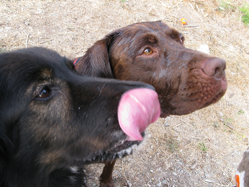 IMG_0243.JPG - Good treats!