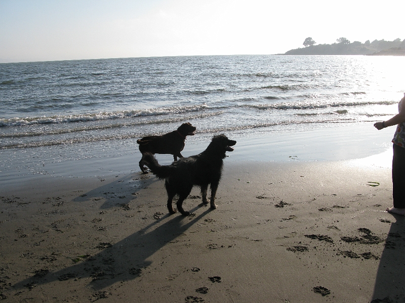 IMG_0249.JPG - Anticipation.