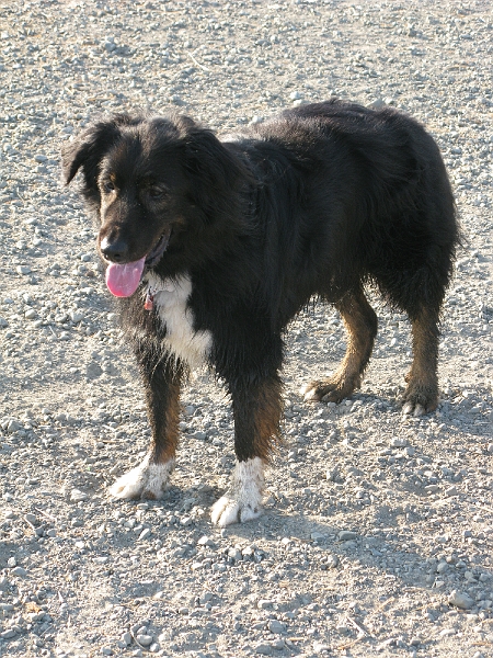 IMG_0255.JPG - Needs a bath.