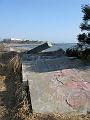 IMG_0224