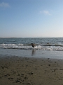 IMG_0252