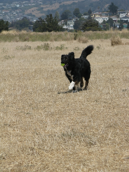 IMG_0274.JPG