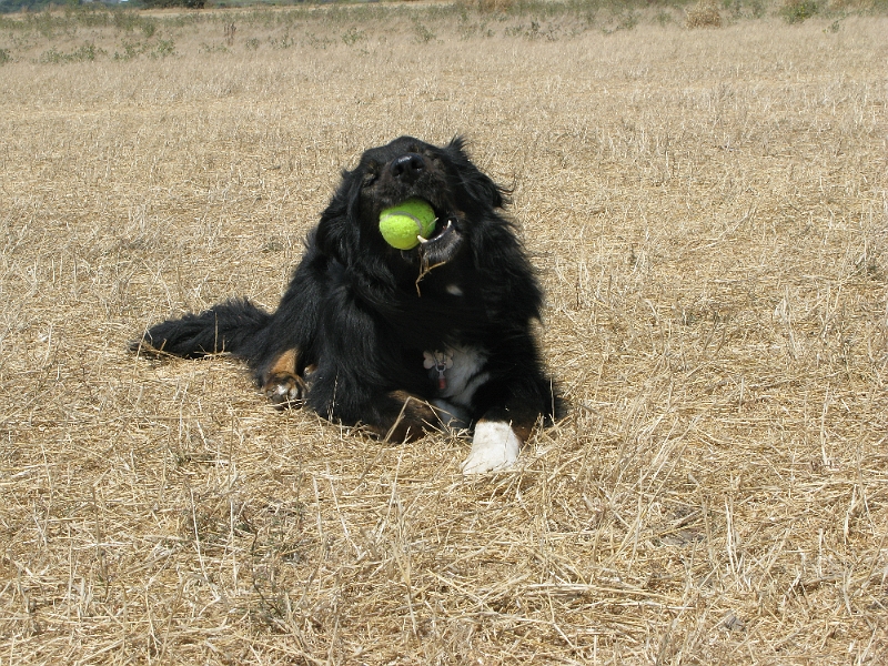 IMG_0280.JPG - Om nom nom.