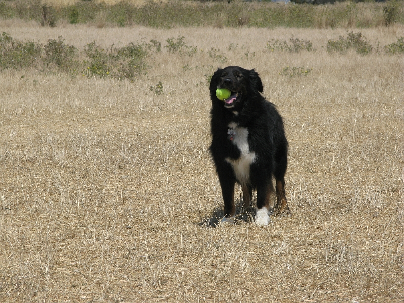 IMG_0285.JPG - Proud boy.