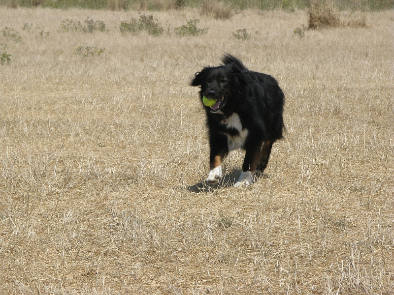 IMG_0292.JPG - Romp and chomp. Yeah, that's right.