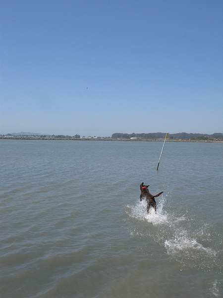 IMG_0295.JPG - Jack walks on water.