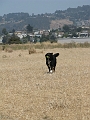 IMG_0273
