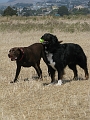 IMG_0275