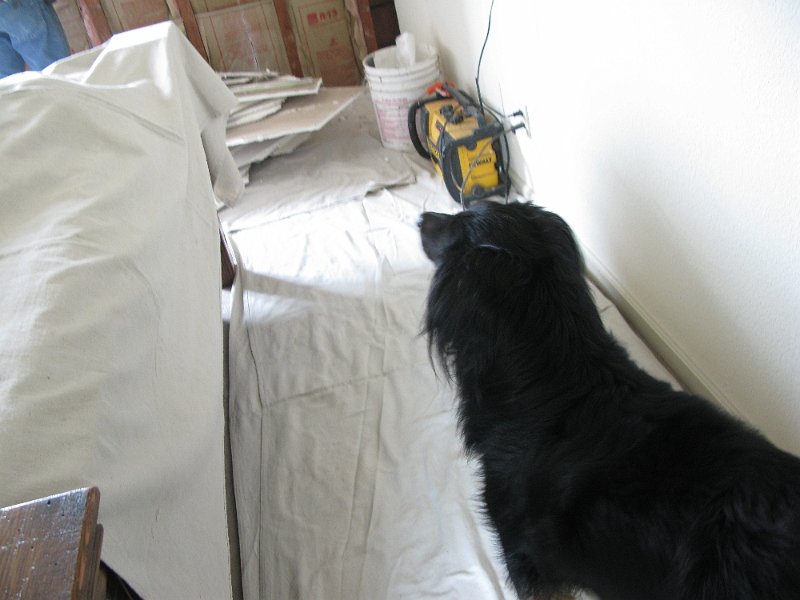 IMG_0324.JPG - Inspecting the work.