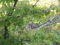 IMG_0341