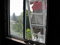 IMG_0350